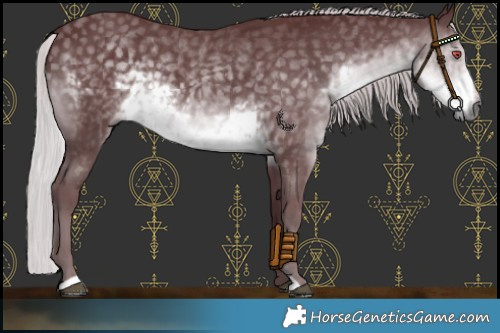 Horse Color:Chocolate Silver Smoky Black Chinchilla 