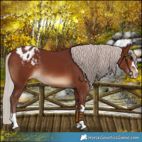 Horse Color:Chocolate Silver Brown Varnish
