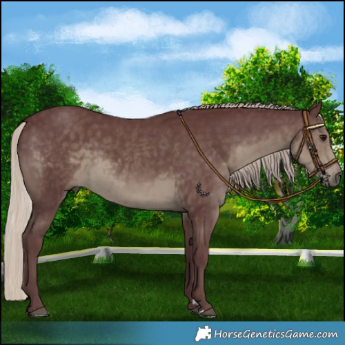Horse Color:Chocolate Silver Smoky Black 
