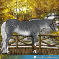 Horse Color:Silver Black Chinchilla Sabino