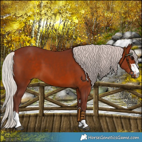 Horse Color:Chocolate Silver Brown 