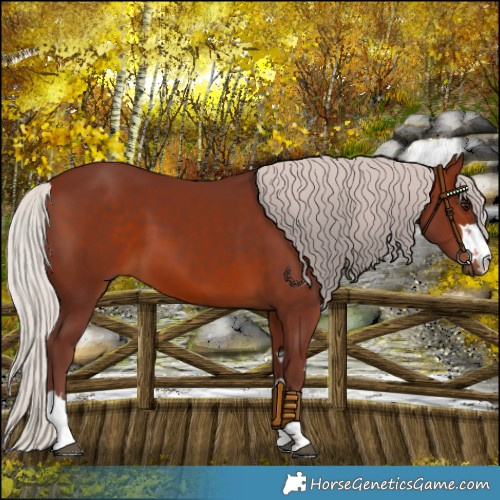 Horse Color:Chocolate Silver Brown 