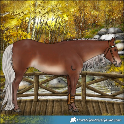Horse Color:Chocolate Silver Brown 