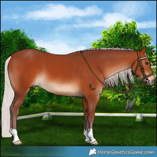 Horse Color:Chocolate Silver Brown