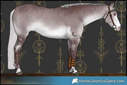 Horse Color:Chocolate Silver Brown Chinchilla Sabino 
