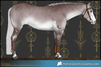 Horse Color:Chocolate Silver Brown Chinchilla Sabino