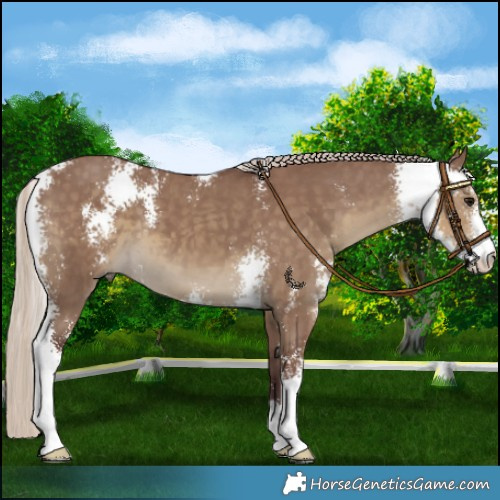Horse Color:Chocolate Silver Smoky Grullo Sabino