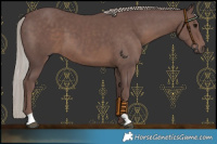Horse Color:Chocolate Silver Black 