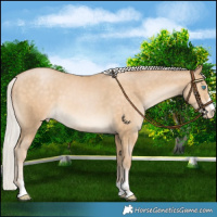 Horse Color:Chocolate Silver Buckskin Pearl Varnish 