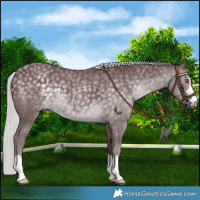 Horse Color:Chocolate Silver Black Chinchilla 