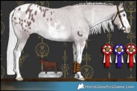 Horse Color:Chocolate Silver Smoky Black Chinchilla Sabino Splash Blanket