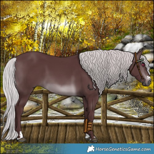 Horse Color:Chocolate Silver Brown Chinchilla 
