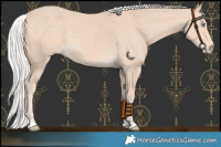 Horse Color:Chocolate Silver Perlino