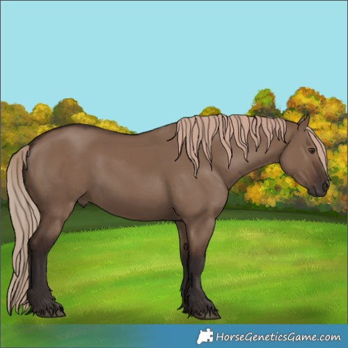 Horse Color:Liver Red Dun 