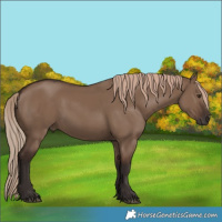 Horse Color:Liver Red Dun 