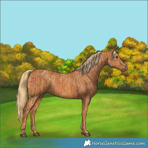 Horse Color:Chestnut  and Chestnut 
