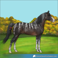 Horse Color:Powder White Brown