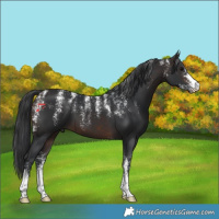 Horse Color:Powder White Brown