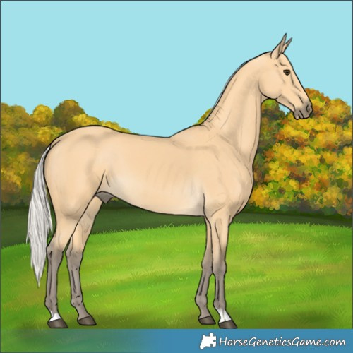 Horse Color:Silver Buckskin