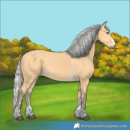 Horse Color:Silver Buckskin 