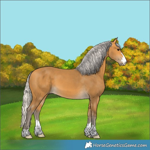 Horse Color:Silver Buckskin 