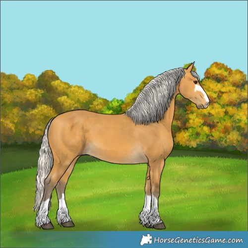 Horse Color:Silver Buckskin