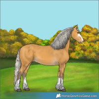 Horse Color:Silver Buckskin 