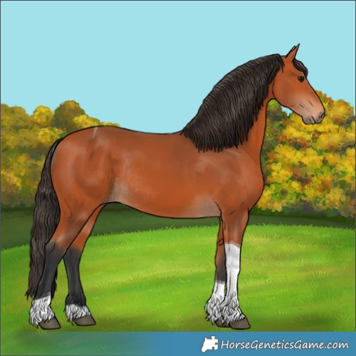Horse Color:Bay Tobiano Rabicano