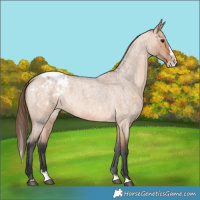 Horse Color:Bay Roan Dun Splash Blanket