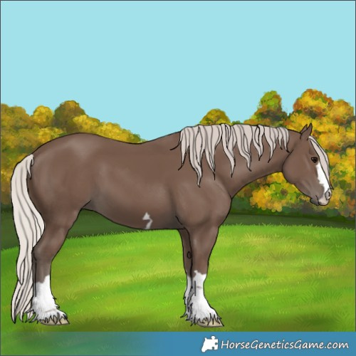 Horse Color:Silver Black 