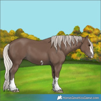 Horse Color:Silver Black 