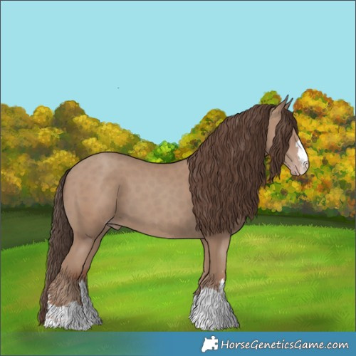 Horse Color:Classic Champagne