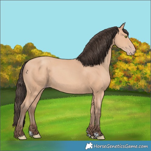 Horse Color:Amber Champagne 