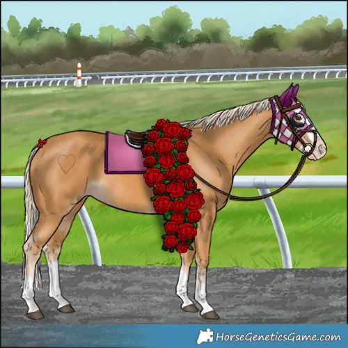 Horse Color:Palomino Splash 