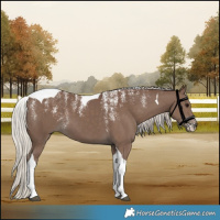 Horse Color:Powder White Silver Black Tobiano 