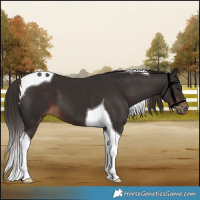 Horse Color:Liver Chestnut Tobiano 