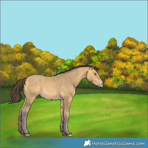 Horse Color:Sable Cream Champagne
