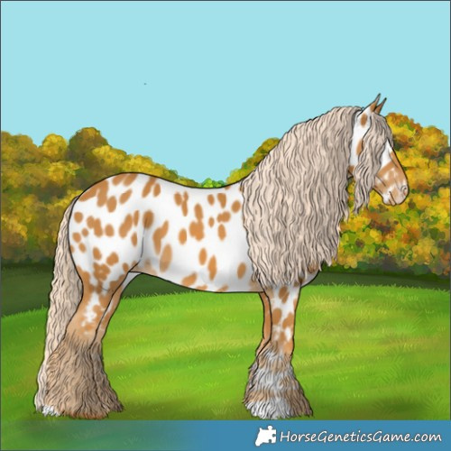 Horse Color:Palomino Near Leopard 