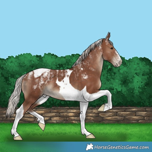 Horse Color:Powder White Silver Black Tobiano 