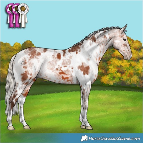 Horse Color:White Spotted Silver Brown Ice 
