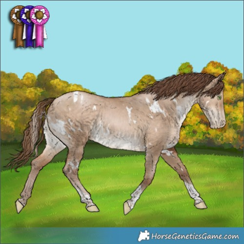 Horse Color:White Spotted Brown Pearl Dun Tobiano Rabicano