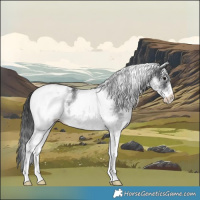 Horse Color:White Spotted Black Blanket