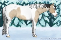 Horse Color:Bay Roan Dun Splash Tobiano 
