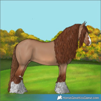Horse Color:Red Dun 