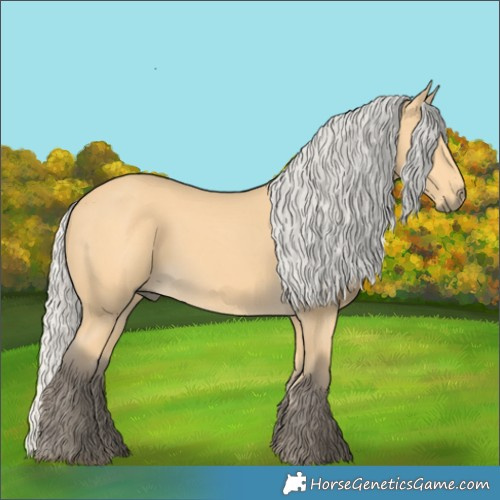 Horse Color:Silver Buckskin 