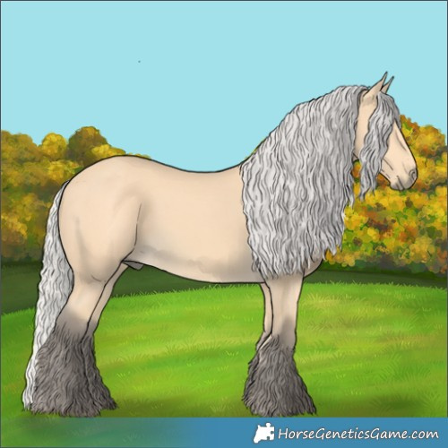Horse Color:Silver Buckskin 