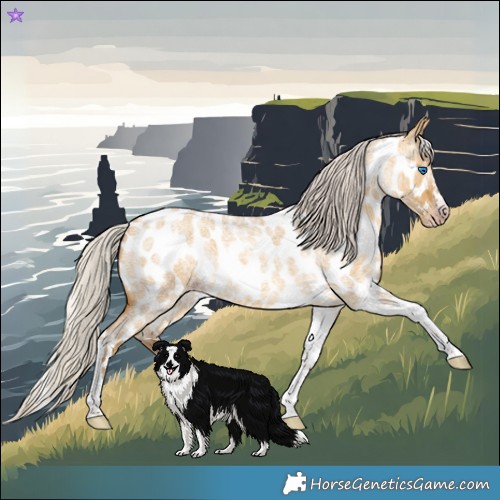 Horse Color:Gray Silver Amber Cream Champagne Roan Dun Splash Tobiano Frame Appaloosa Rabicano 