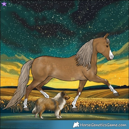 Horse Color:Chocolate Palomino Dun