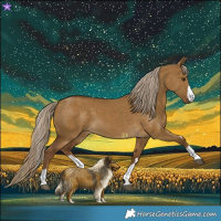 Horse Color:Chocolate Palomino Dun 