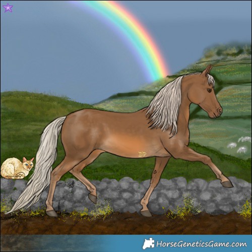Horse Color:Chocolate Palomino 